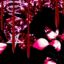slaughtering-scott