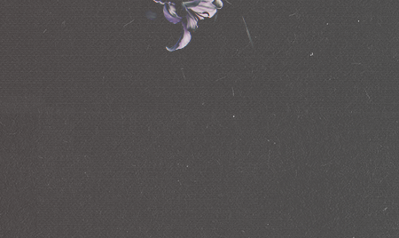 jetzui:  | Kuroshitsuji   ✗  Undertaker |