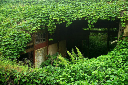 archatlas: Abandoned Chinese Fishing Village Being Swallowed By Nature Shengsi, an archipelago of a