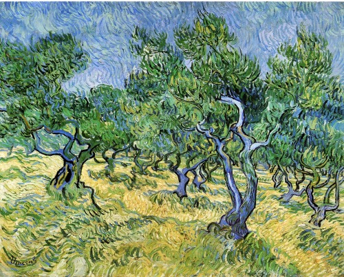 Various Olive Groves Vincent VanGogh (Public Domain)