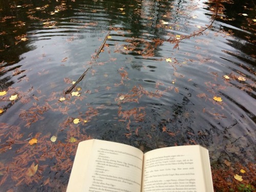 buecherundgeschichten:reading by a lake - I really love the ripples on the water in this pic :)