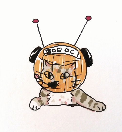 catmemer:Doodled some of my fav cat picsVery nice