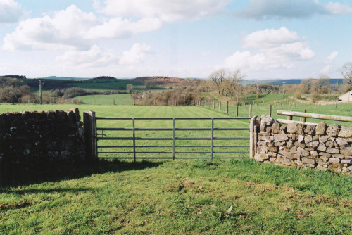 farm gate