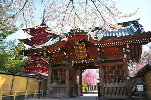 Japan Temple Gate and Pagoda. 