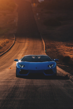 themanliness:  Lamborghini Aventador | Source