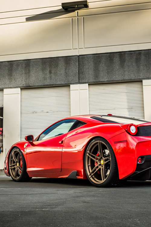 avenuesofinspiration:  ADV1 Speciale | © | AOI 