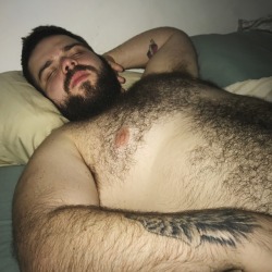 BEAR_HAIRY