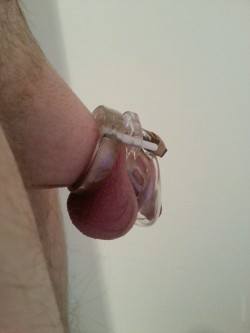 selflockedchastity:  Day 7. Some horny pics