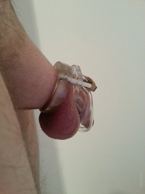 selflockedchastity:  Day 7. Some horny pics on tumblr this morning ;) 