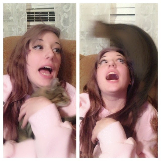 kittenpantsu:  All I want to do is hold the kitties. But the kitties say no.