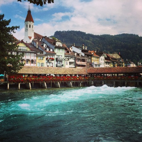 aleesias:#city of #thun #switzerland #river #aare #church #bridge #flowers (hier: Mühleplatz) 