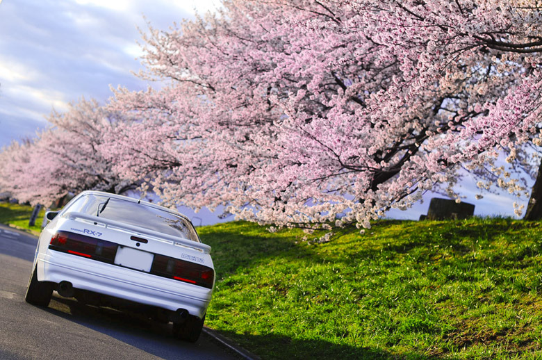 drifthole:  Days. 
