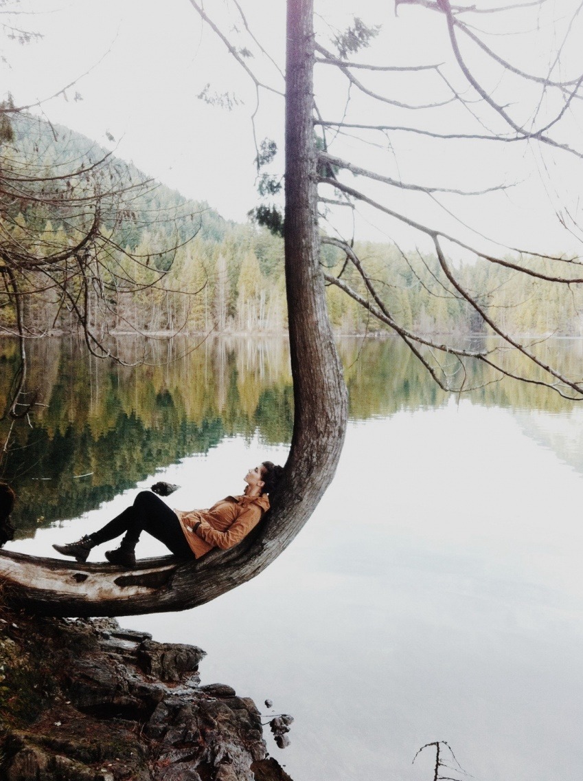 A Nature Blog