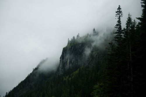 givncvrlos:  (by Marty Mellway) 