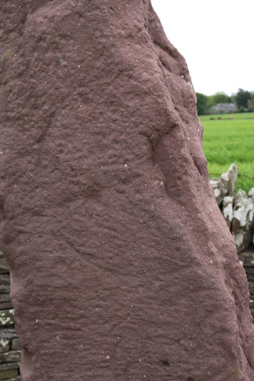 The &lsquo;Crescent Stone&rsquo;, Aberlemno, Angus,Scotland, 20.5.18.This stone was once clearly mar