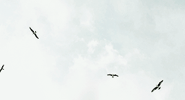casciel:get to know me: favorite bands/artists ♡ hozier.“With my mid-youth crisis all said and done 