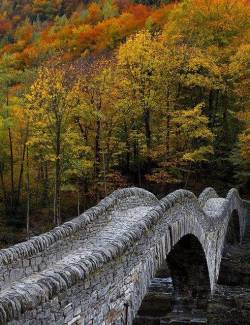 needyhotwife:  One of our very very rare reblog …..so beautiful,  I want to walk hand in hand over this bridge and kiss my wonderful husband passionately in the middle of it and hold each other close as we watch the leaves fall  Bad ass