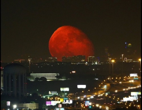 windoff: conflictingheart: This ‘supermoon’ total eclipse happened tonight. All I’m seeing are cl