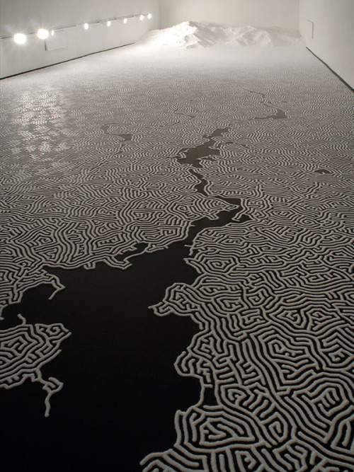 likeafieldmouse:  Motoi Yamamoto Yamamoto’s works are mostly temporary, intricate, large-scale installations, or, “salt labyrinths”.  “Salt, a traditional symbol for purification and mourning in Japanese culture, is used in funeral rituals