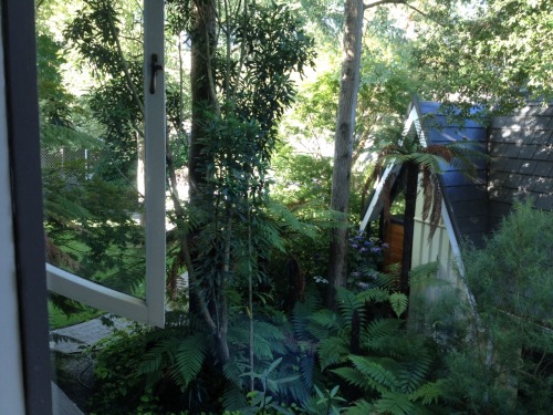 fluffyplant:  how cute is this hotel rooms view!