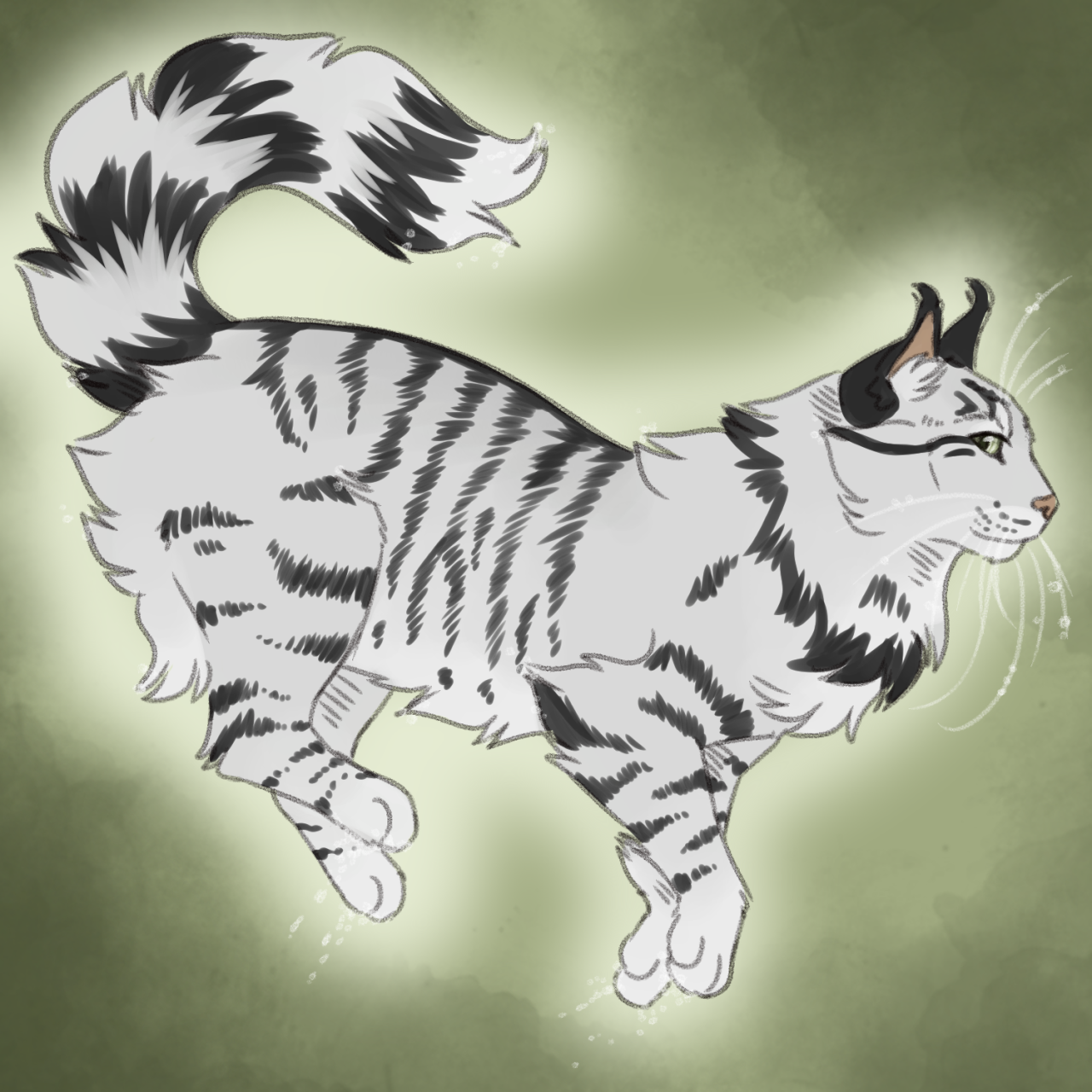 Slugs genetically accurate cats — Tigerstar 2 (Classic black tabby with low  white