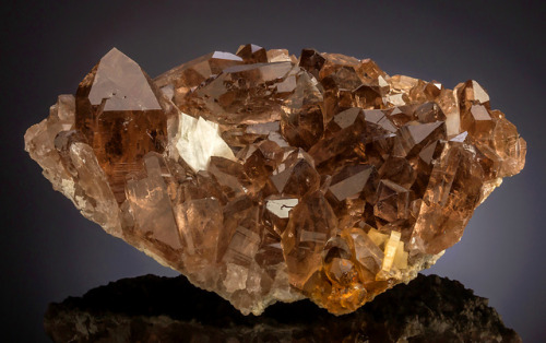 Smoky Quartz cluster with a Smoky Quartz Gwindel and Adularia - Galenstock, Tiefenbach, Urseren, Uri