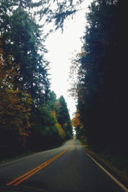 northwezt:  Bainbridge Island, Washington ➤ Alesha Brown (northwezt)   