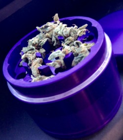 d0pest-0nerxo:  bought a new grinder ! 💜