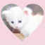 anglkitti