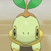 chasekip:Grass-type Starter Pokemon