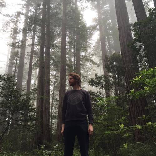 Good Vibrations sweater by #Origin68, exploring the misty #redwoods! #redwood #california #cali #nat