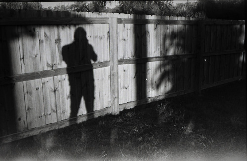 Shadow Self Portrait. Rollei 35, Tessar 3.5. Ilford HP5+ D-76. 