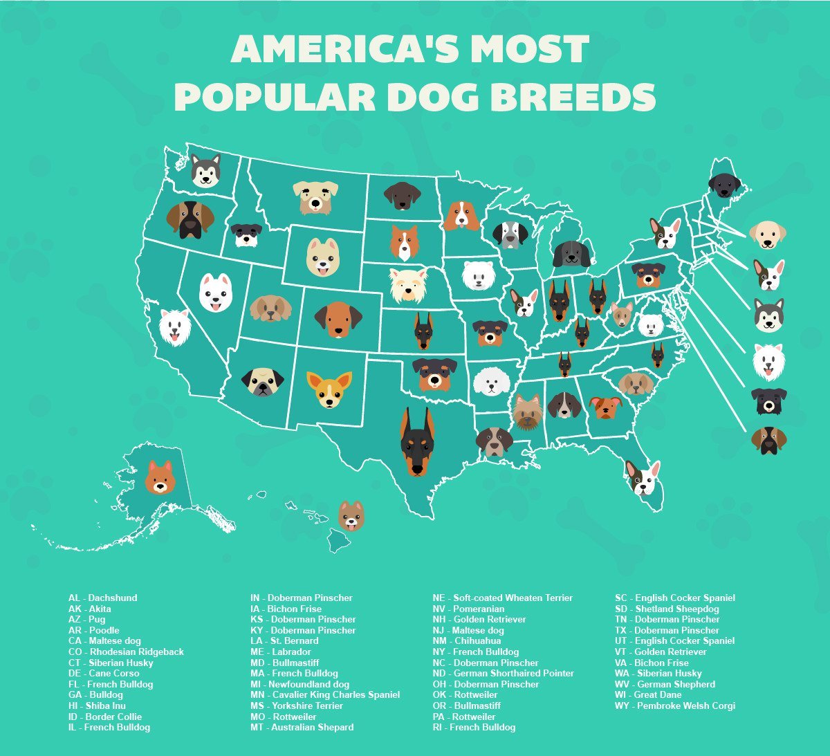 A Map of Every State s Most Popular - Tumblr Ps8qc6pSFe1rasnq9o1 1280