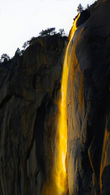 theencompassingworld:  trying-to-do-a-thing:  Original Photo by Defiets : The Firefall in Yosemite was incredible this week. One of the many shots I took of it. [2248 × 4000] [OC] Photo from /r/EarthPorn: http://ift.tt/1KW3Ghe Courtesy of IFTTT.  The