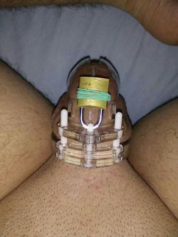 chastityboy1996:  What is beter than a locked leaking Cock? 