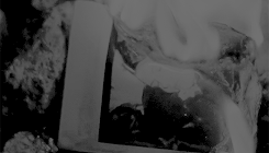 daily-walkers:    I burned his last picture of me, because I said I wasn’t gonna need it anymore. Because I was never gonna be away from him again. 