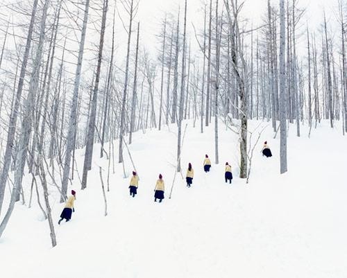 great series by osamu yokonami