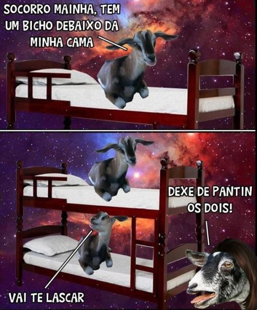Não vou me adaptar☀