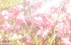 tsukiyma:  Eren, why are you crying? 