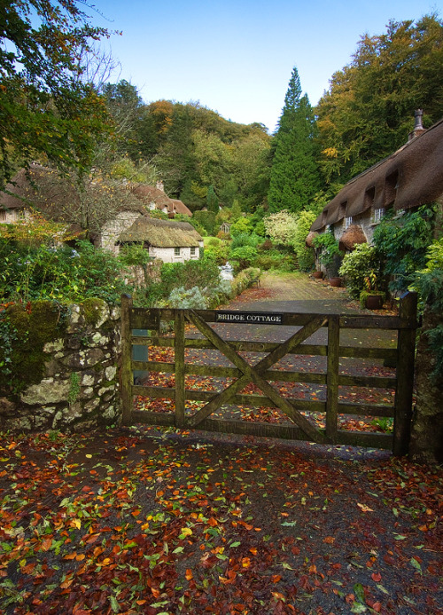 englishcountrycottage:  Buckland in the Moor, Dartmoor, Devon, England (Alan Howe Photography)