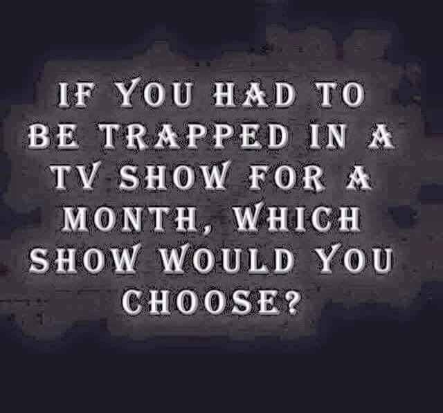 scottpatrick:  Which would you choose ?