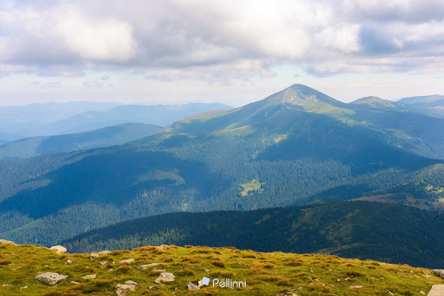 Hoverla the highest peak of ukraine. panoramic nature background. view in to the distant mountain ridge. beautiful landscape in summer. popular travel destination - Hoverla the highest peak of ukraine. panoramic nature background. view in to the distant mountain ridge. beautiful landscape in summer. popular travel destination #green#mountain#peak#panorama#background#summer#nature#sky#scenery#view#landscape#travel