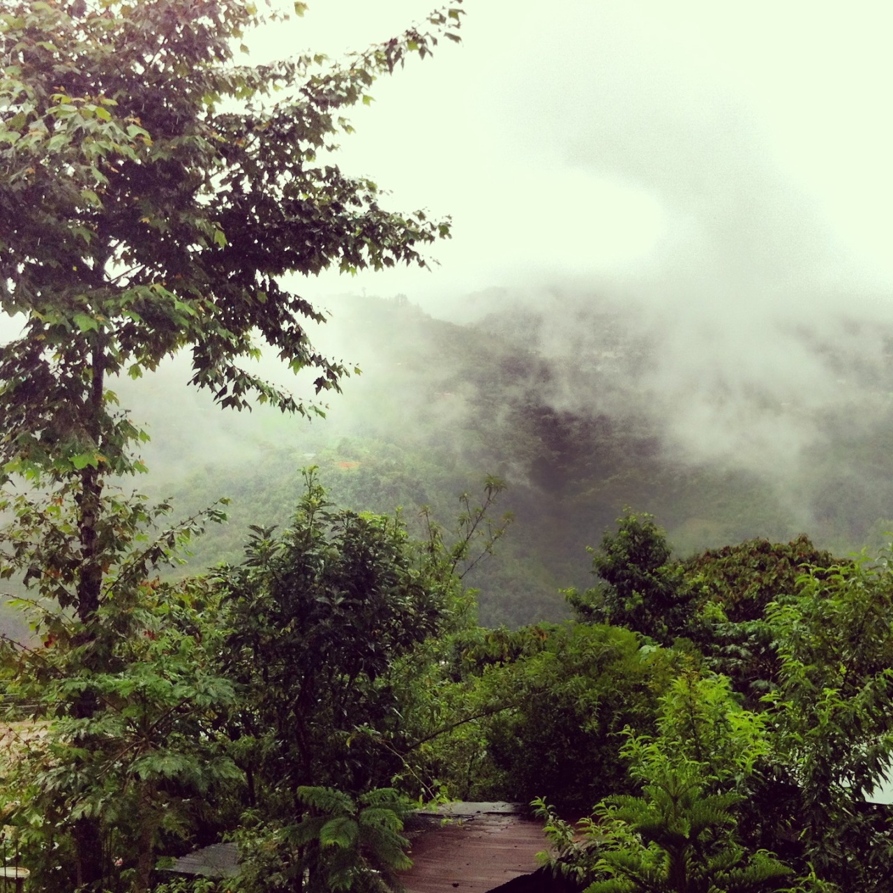 Huautla de Jimenez,Oaxaca. Mexico
We had the opportunity to visit Casa Cejota in Huautla, amazing view from their balcony.