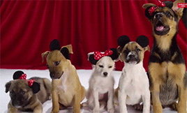 mashable:  You know what will make your favorite disney movies better? Puppies. [via]