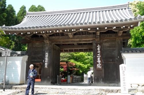 jasmine7031: Giou-ji Temple　（祇王寺） moss gardenwww.giouji.or.jp/enAfter a rainfall, when the ga