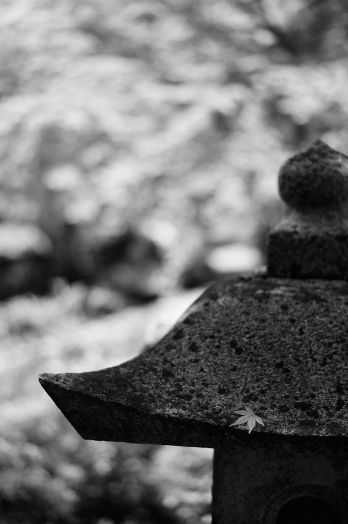20150430 Arashiyama 3 by Bong GritVia Flickr:***** RAW developed *****灯籠の上に若葉一枚。@Jojakkoji temple, U