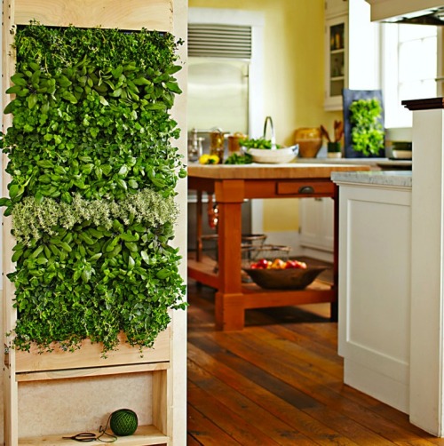 hydroempire:  homedecorthings:  Indoor Gardens - all herbs you need in your own kitchen-garden!  Have everything you need at your fingertips! 