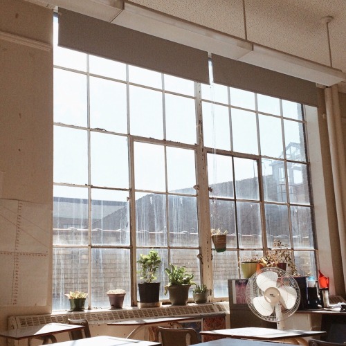 lattefoam:I’ve been missing this sunny, plant-filled classroom