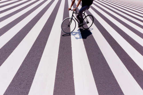delightfulcycles:  stripes (via 500px / Photo “Bicycle” by Kouji Tomihisa)