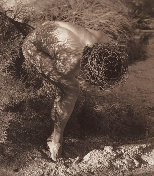 leforetenchante:  Male Nude with Thorns, Joshua Tree, by Herb Ritts, 1989